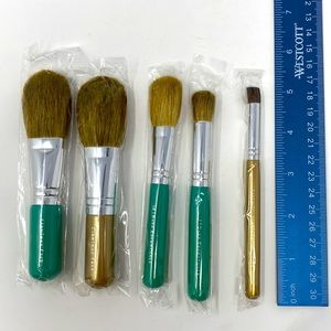 5 mini Bare Escentuals Minerals brushes NIP